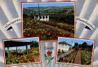 Die Rosen im Rosengarten auf dem Michelsberg in voller Blte. Der Pavillion mit seinem herrlichen Rundblick wurde 1933 eingeweiht und nach 1978 restauriert.